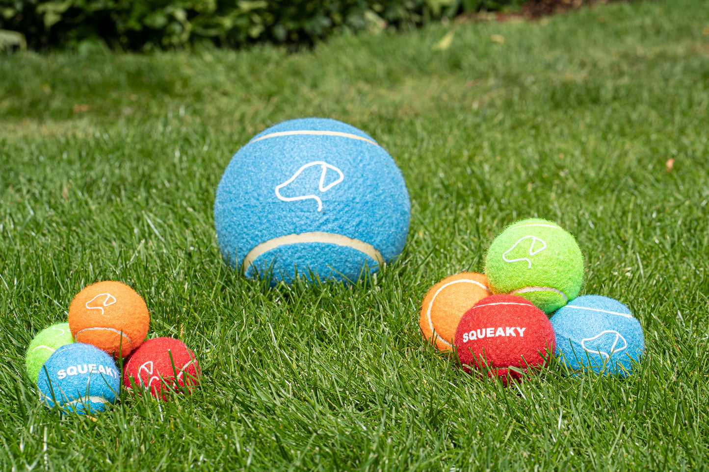 Teds Tennis Balls 3 Pack