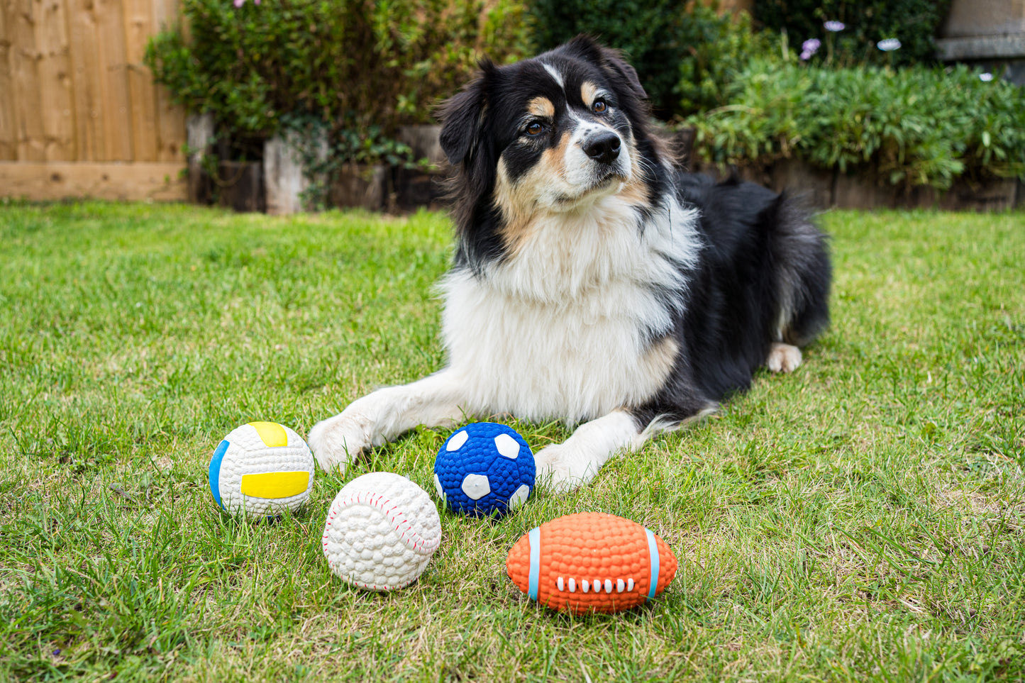 Teds Squeaky Latex Pooch Ball - 4 Designs