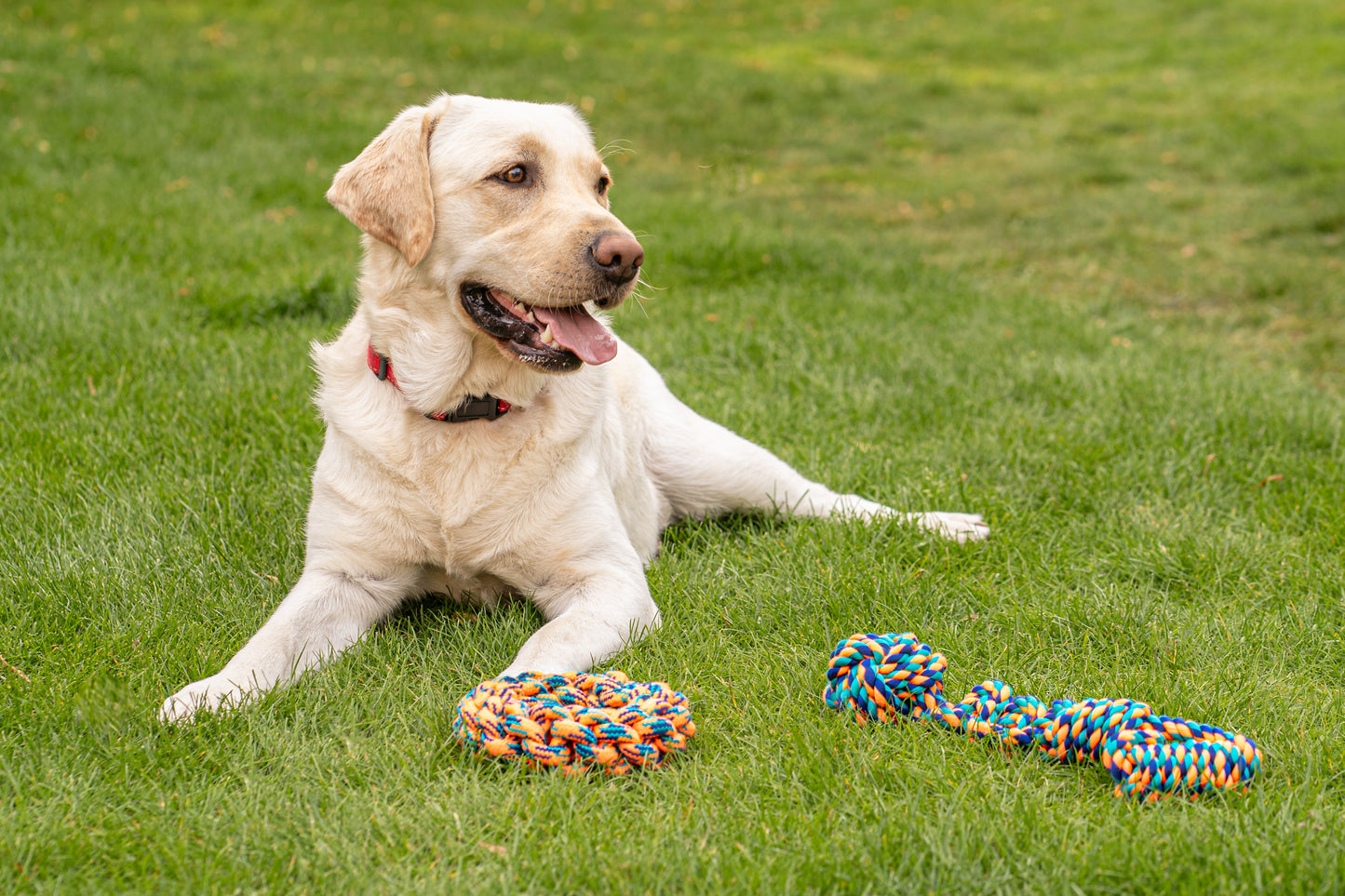 Teds Rope Donut 18cm