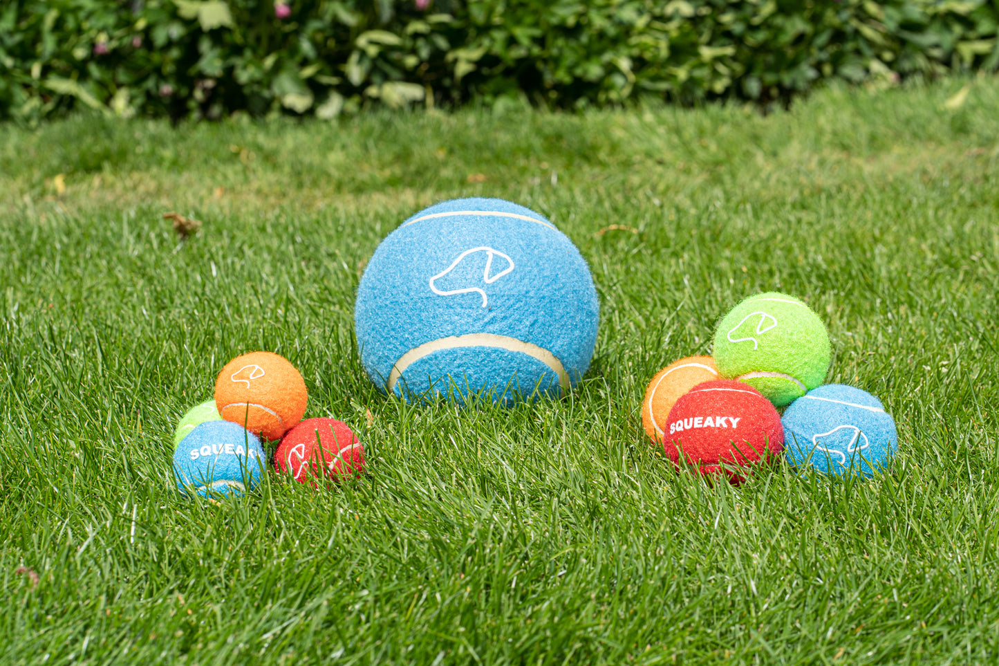 Teds Squeaky Pooch 6.5cm Tennis Balls - 3pk