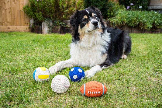 Teds Squeaky Latex Pooch Ball - 4 Designs