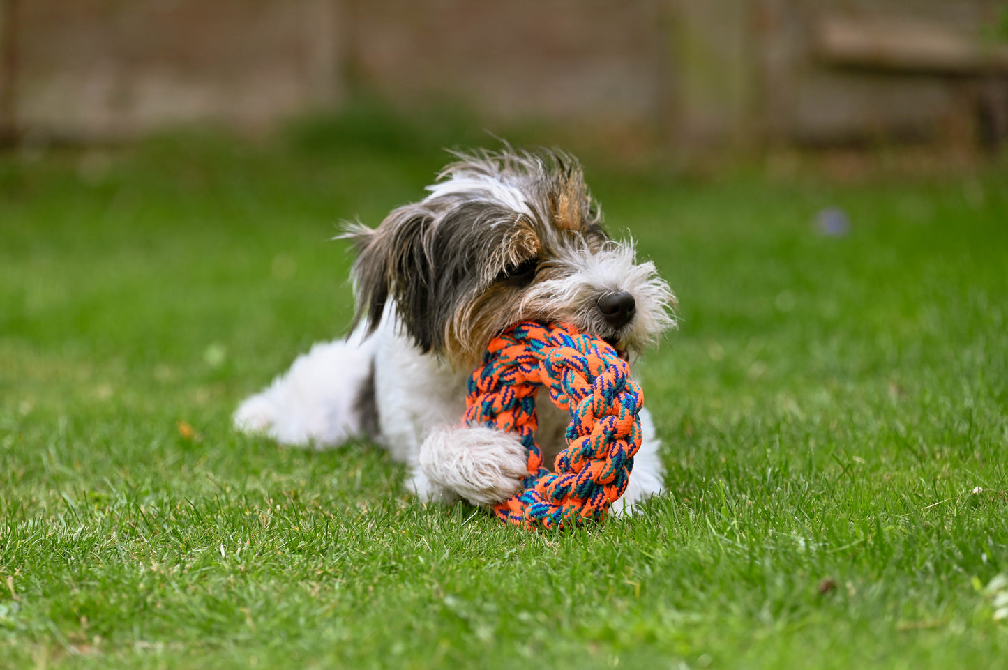 Teds Rope Donut 18cm