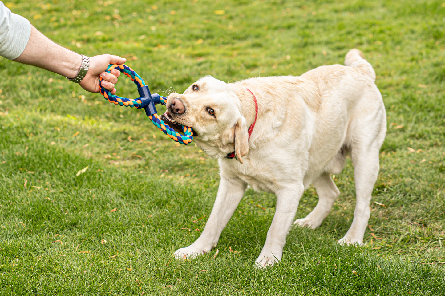 Teds Uber-Activ 8 Tugger