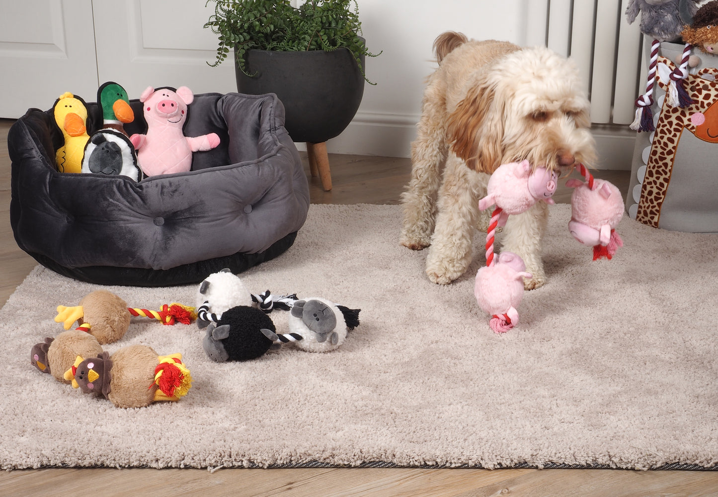 Teds Tugga Farm Squeaky Rope Toy - 3 Designs