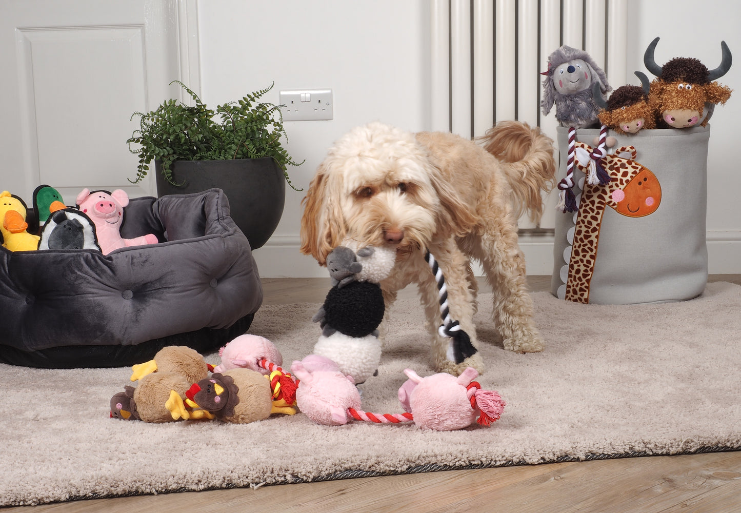 Teds Tugga Farm Squeaky Rope Toy - 3 Designs