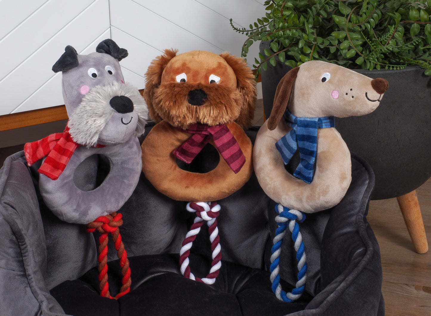 Teds Cockapoo Rope Ring