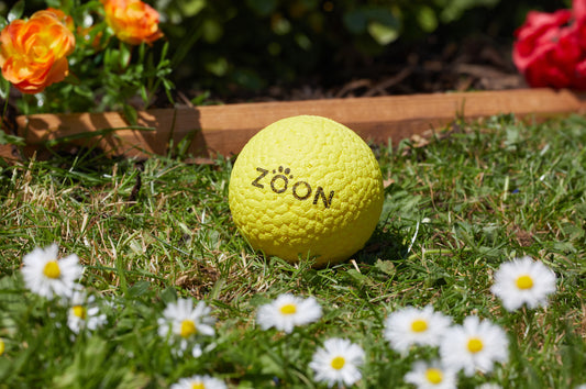 Teds Indestruct-a-Ball 7cm