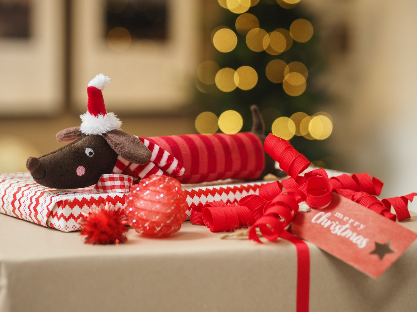 Teds Festive Frankie Sausage PlayPal - Large