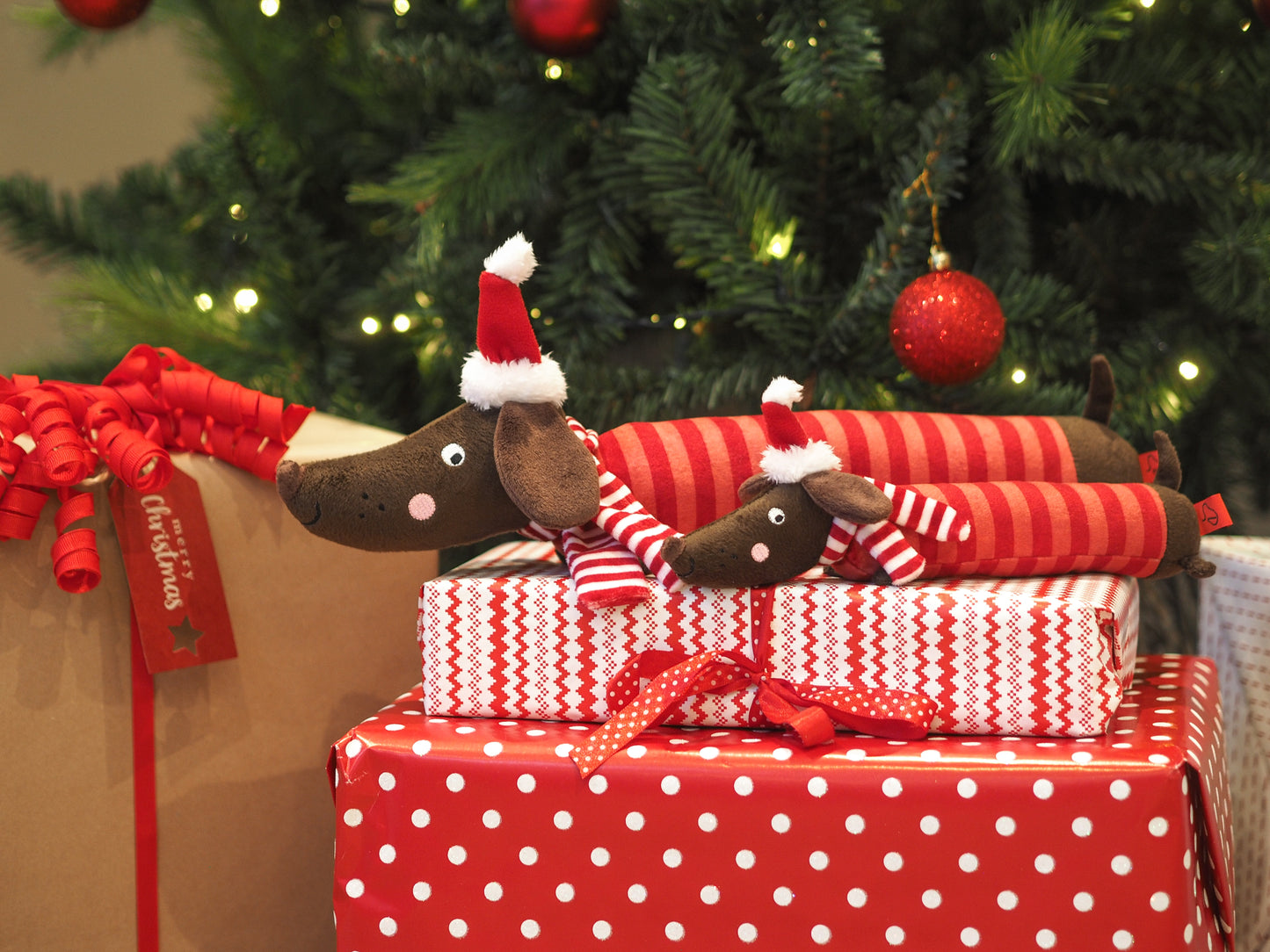 Teds Festive Frankie Sausage PlayPal