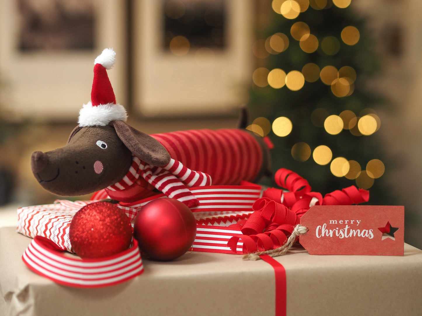 Teds Festive Frankie Sausage PlayPal