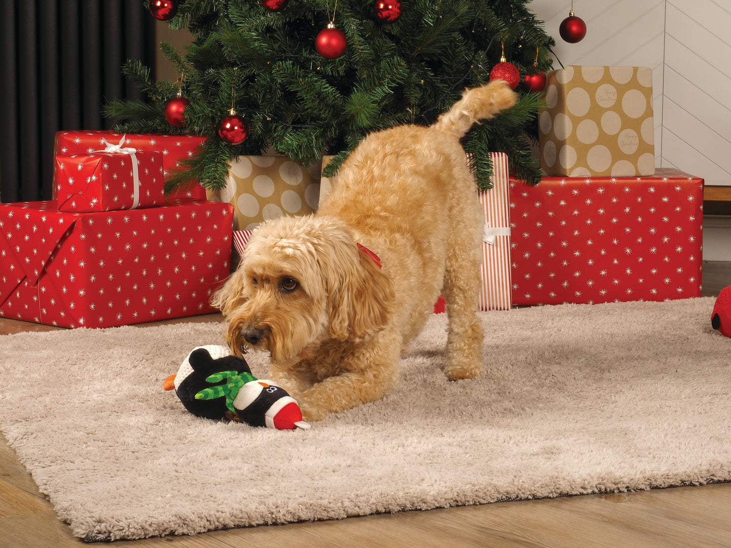 Teds SuperBouncy Puppa